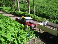 30th May 2009 006